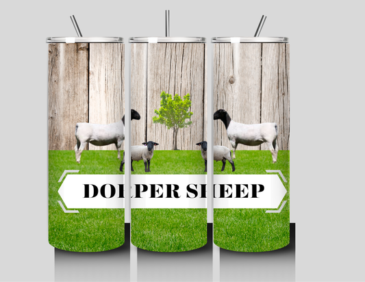 Dorper Sheep 20oz. Stainless Steel Tumbler